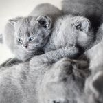 Linda Wiseman - @lindawiseman321 - Instagram