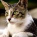 Linda Withrow - Facebook