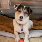 Linda Withrow - @lindawithrow62 - Instagram