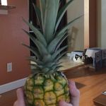 Linda Withrow Colindres - @colindres1047 - Instagram