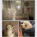 Linda Witz - Facebook