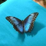 Linda Joanne Way Wright - @lindawright453 - Instagram