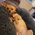 Linda Wright - Facebook