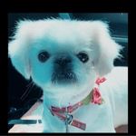 Linda Marie Wyeth-Albright - @lallbrite157 - Instagram