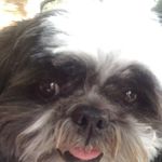 Linda Wyeth - @lindawyeth - Instagram