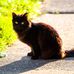 Linda Wyeth - Facebook
