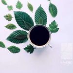 Linda Xavier - @lindaxavier5874 - Instagram