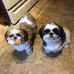 Linda A. Youngman - Facebook