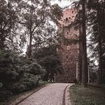 Linden - @linden.price__o8vpm - Instagram