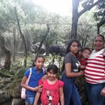 linchi - @lindsay.nathalia - Instagram