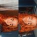 Lindsay Athanas - Facebook