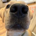 Lindsay Bennett Atha - @latha27 - Instagram
