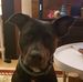 Lindsay Baumgartner - Facebook