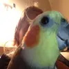 Lindsay_ beach - @lindsay_awsome - TikTok