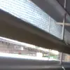 Lindsay Bear - @lady.anonima - TikTok