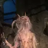 Lindsay bower - @its.cool.55 - TikTok