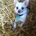 Lindsay Burrows - Facebook