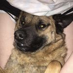 Lindsey Cantrell - @cantrell8538 - Instagram