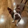 Aliya’s mom - @lindsay.cobb0 - TikTok
