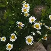 Lindsay Crowder447 - @lindsaycrowder447 - TikTok