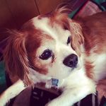 Lindsay Crowder - @jess_crow2 - Instagram