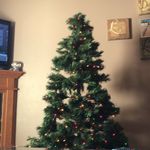 Lindsay Dougherty - @dougherty5051 - Instagram