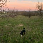 Lindsey Eldridge - @_linds_photography - Instagram