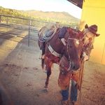 Lindsay Farley - @wild_rose_of_sun - Instagram