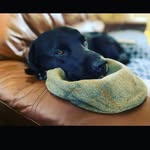 Lindsay Guest - @lins.guesty - Instagram