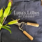 Lindsey Guest - Facebook