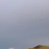 Lindsay Guy559 - @lindsayguy2 - TikTok