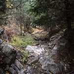 Lindsay Hand - @_jane_doe_project_ - Instagram