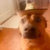 Lindsay Hand - @lindshand - TikTok