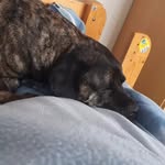 Lindsay Hoffmann - @hoffmann_lindsay - Instagram