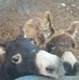Lindsey Holman - Facebook