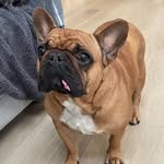 Lindsay Hutton - @looloohutton - Instagram