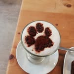 Lindsay Hutton - @furramama - Instagram