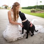 Lindsay Kern - @petstylistlindsayk - Instagram