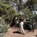 Lindsay Larson - @lin.seed - Instagram