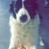 lindsaylauer - @lindsay.lauer - TikTok
