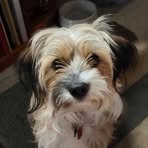 Lyndsay Loyer - Facebook