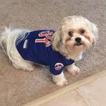 Lindsay Longo - @ted_ee_gram - Instagram