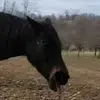 lindsay.obrien.1276 - @lindsay.obrien.12 - TikTok