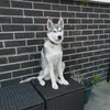 Lindsay_spooner - @lindsay_spooner5616 - TikTok