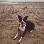 Lgrobb59 - @lindsayrobb - Instagram