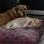Lindsay Spitzer Robb - @robblindsay - Instagram