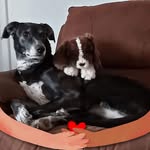 Lindsay Storey - @lindsay.storey.71 - Instagram