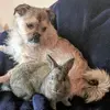Lindsay Storey - @lindsay.storey - TikTok