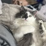 Lindsey Storey - @lindsey_storey7230 - Instagram