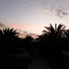 lindsaytan01 - @lindsaytan01 - TikTok